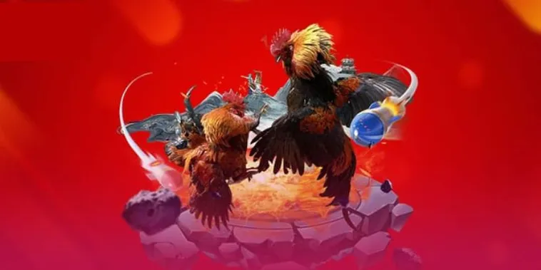 Kinh Nghiệm Chinh Phục Đá Gà 69VN: Bí Quyết Thắng Lớn 2 Kinh Nghiệm Chinh Phục Đá Gà 69VN: Bí Quyết Thắng Lớn